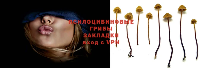синтетический гашиш Волоколамск