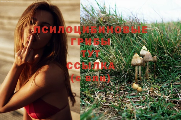 синтетический гашиш Волоколамск